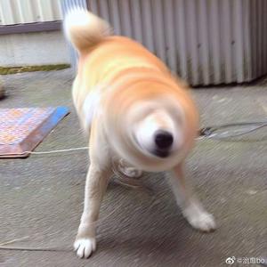 爱日别在线视频
