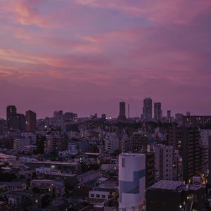 爱日别在线视频
